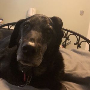 Meet your Posher, Stefanie